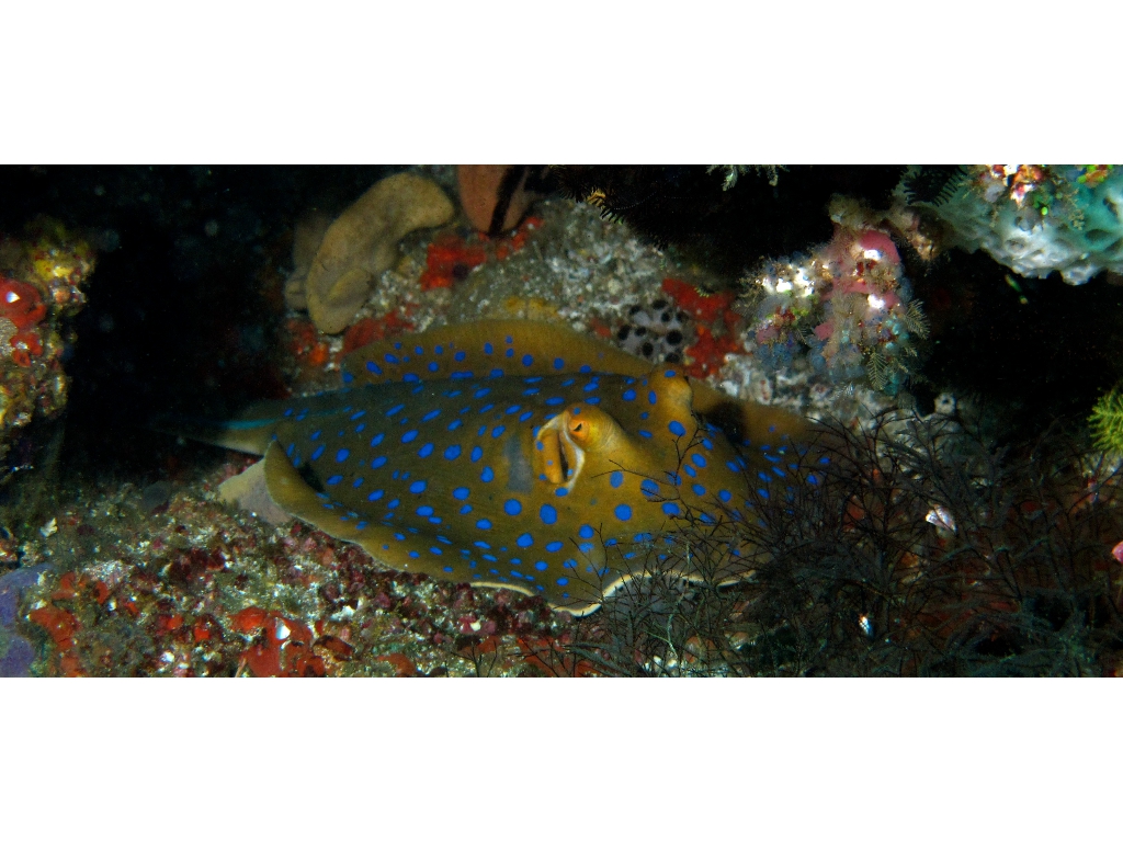 IMG_6735 (1) IMG_6735 (1)